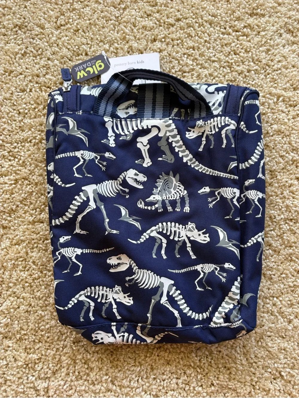 Pottery Barn Kids GLOW IN THE DARK Dino Dinosaur Toiletry Bag Luggage Sleepover